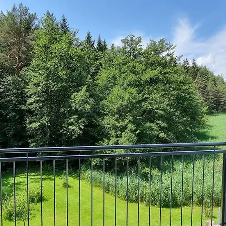 Mattersdorfer Hotel *